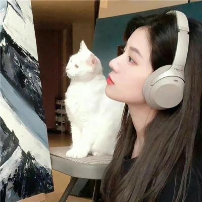 不死鸟之恋